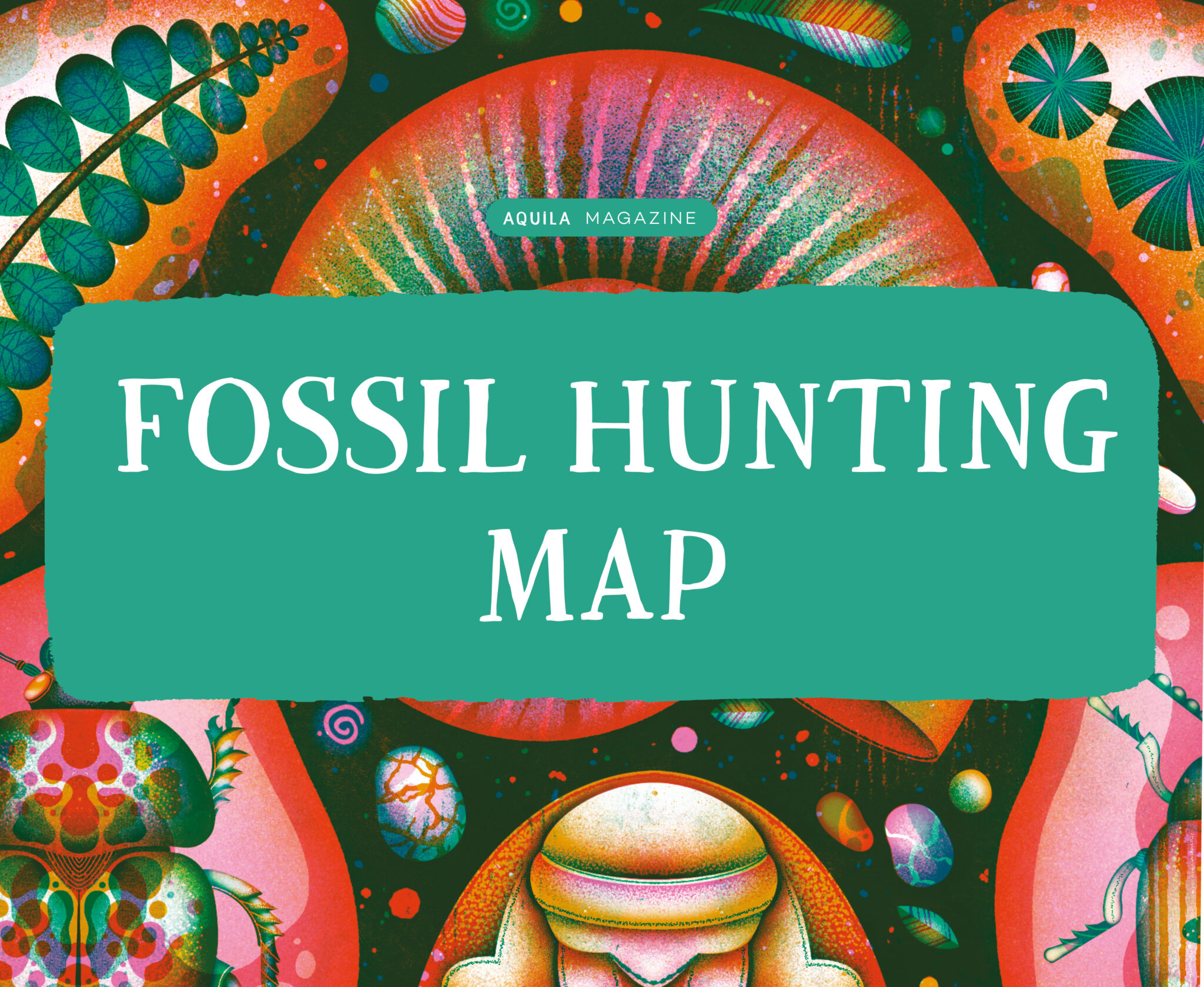 UK Fossil Hunting Guide - AQUILA Blog