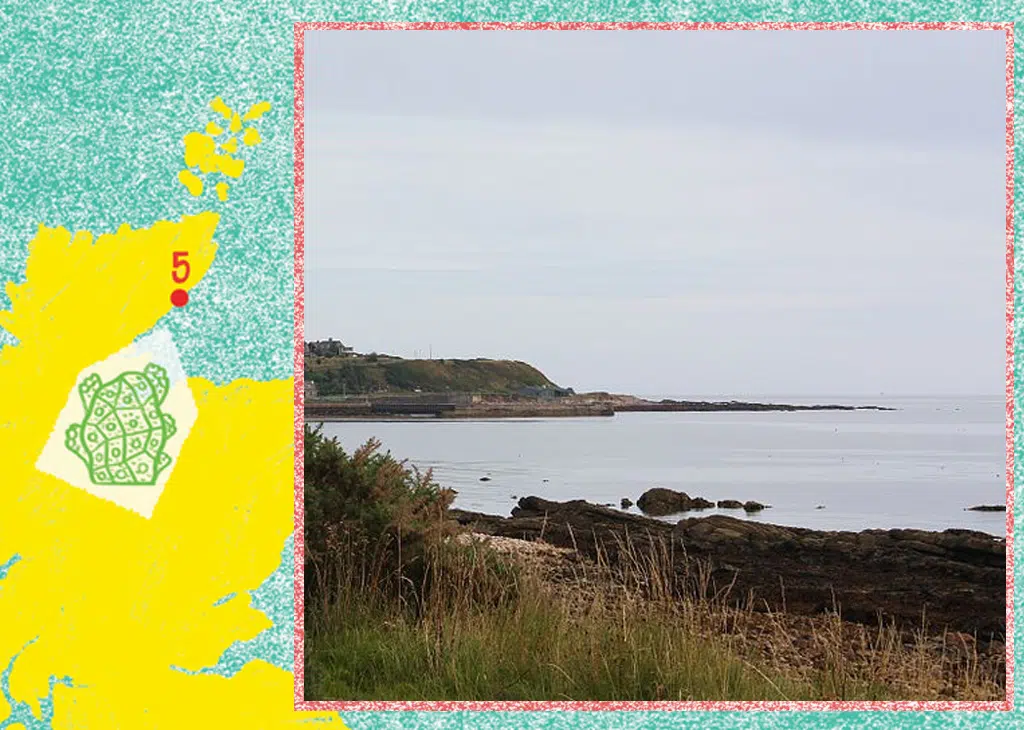 helmsdale fossil hunt