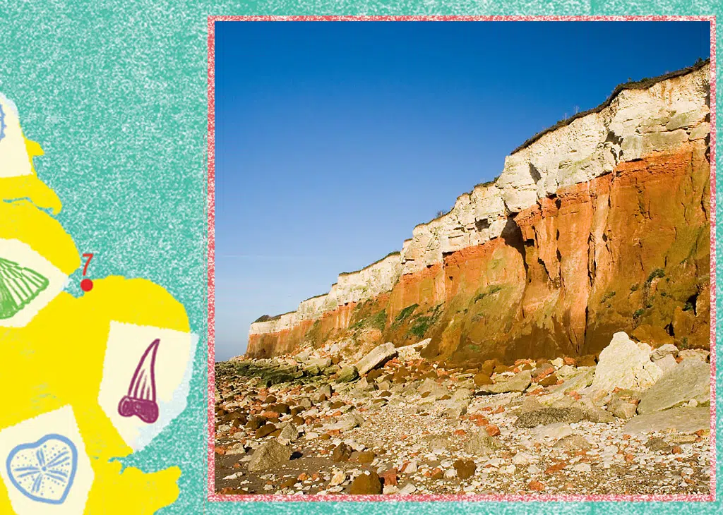Hunstanton fossil hunt