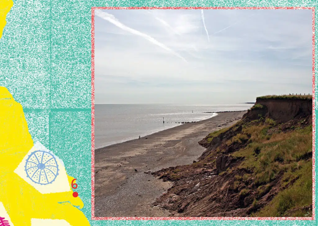 mappleton fossil hunt