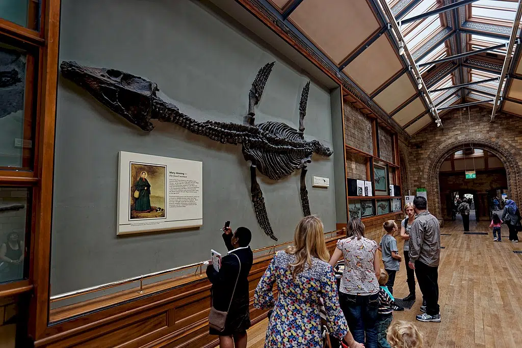 London - Cromwell Road - Natural History Museum 1881 by Alfred Waterhouse - Mary Anning, the Fossil Woman