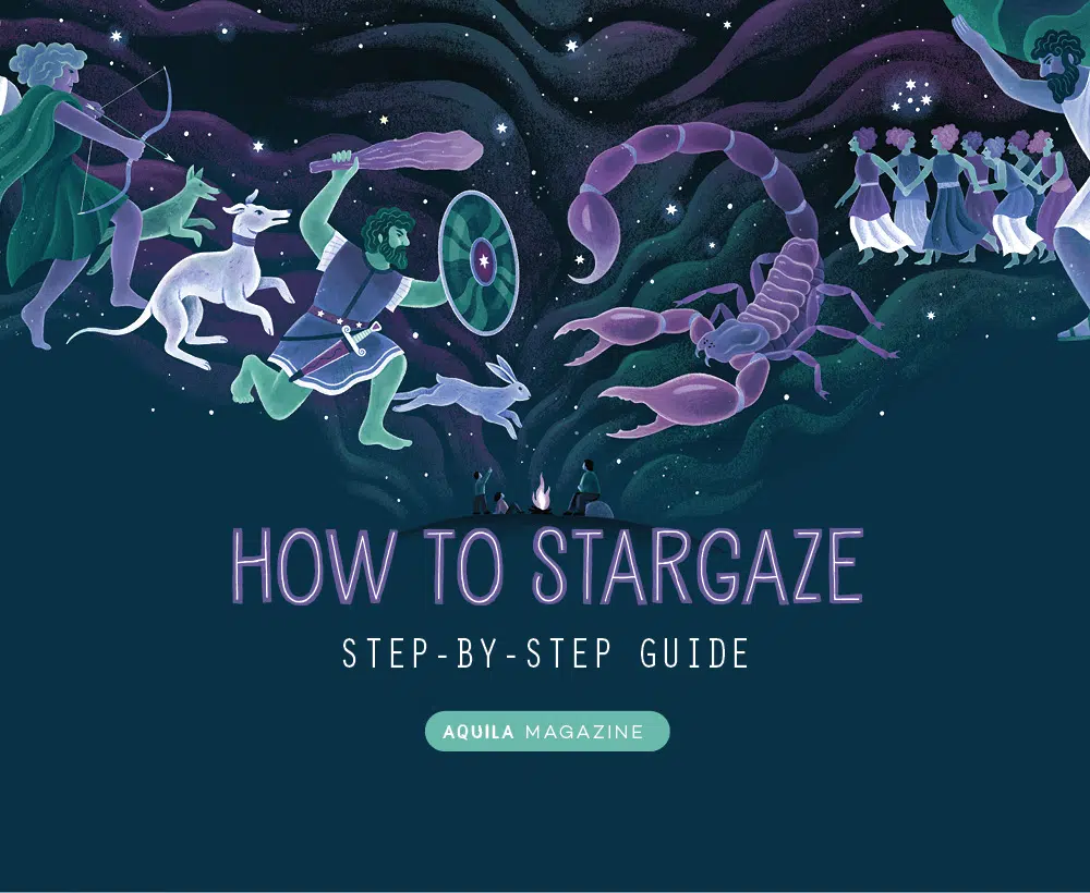 illustration of constellation animals and gods words Set by step guide to stargaszin