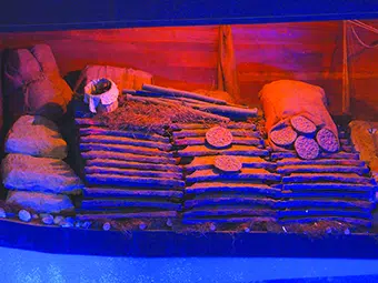 Shipwreck treasure